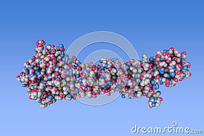 Space-filling molecular model of the influenza virus hemagglutinin on blue background. Rendering based on protein data Cartoon Illustration