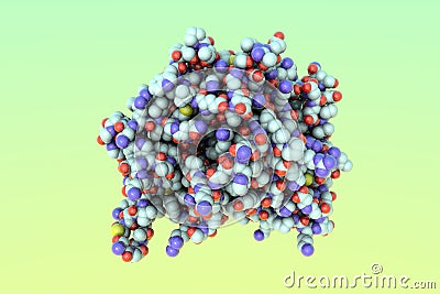 Space-filling molecular model of the measles virus hemagglutinin on colorful background. Medical background. 3d Cartoon Illustration