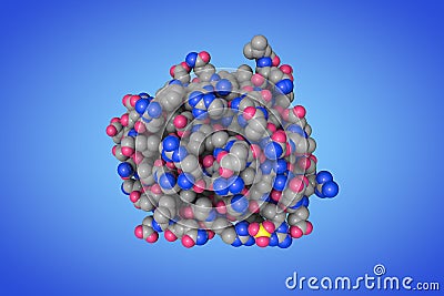 Space-filling molecular model of human interleukin-24 (IL-24). IL-24 is a new member of the interleukin family that Cartoon Illustration