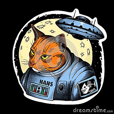 Space pirate cat. Big moon on background. Stock Photo