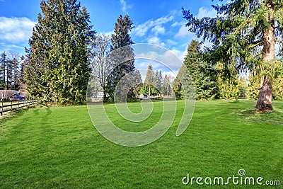 Spacious fenced backyard filled with green grass Stock Photo