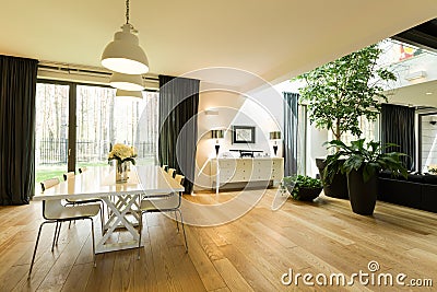 Spacious room with table and plants Stock Photo