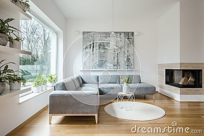 Spacious white living room interior with grey couch Stock Photo