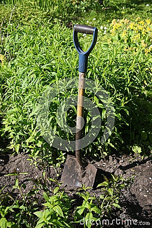 A spade in the ground Stock Photo