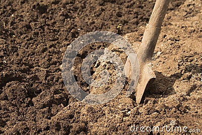 Spade or shovel in soil Stock Photo