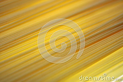 Spaghetti 1 Stock Photo