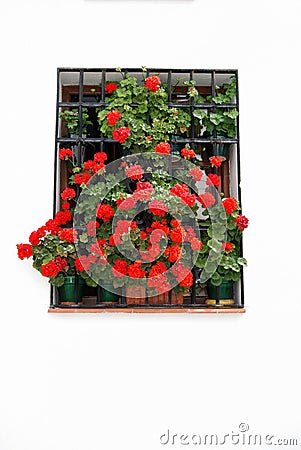 Pretty window with potted geraniums in the old town, Ronda, Spain. Stock Photo