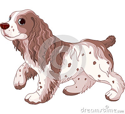 Spaniel dog Vector Illustration