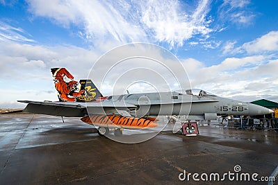 Spanish Air Force F/A-18 Hornet fighter jet airplane Editorial Stock Photo