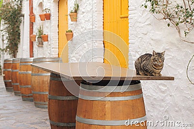 Spanish bar outside in siesta time, cat is sitting on barrel tab Stock Photo