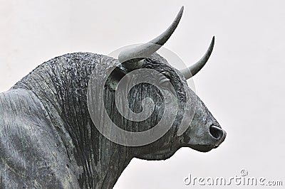 The Spanish Fighting Bull Stock Photo