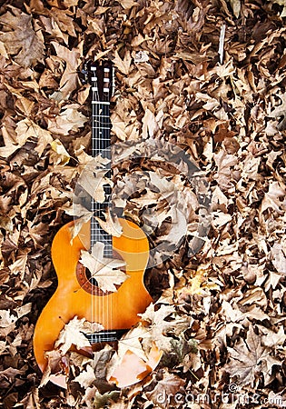 Spanish guitar Stock Photo
