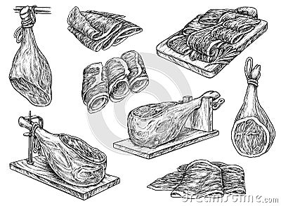 Spanish jamon leg on stand and ham meat slices Vector Illustration