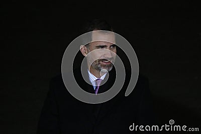 Spanish King Felipe VI Editorial Stock Photo