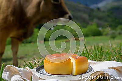 Delice de Bourgogne French cow's milk cheese from Burgundy region of France Stock Photo