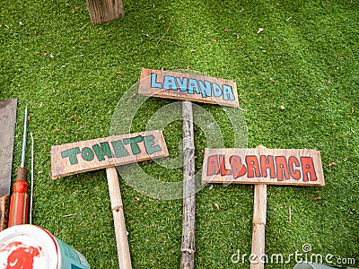 Spanish vegetable garden homemade signs with recycled wood and canes Stock Photo