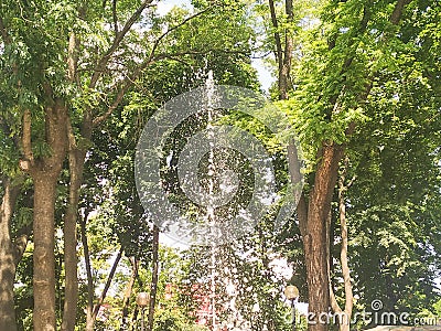 Sparkling fountain between the trees Stock Photo