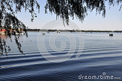 The Sparkling Raindrops in Summer Palace Stock Photo