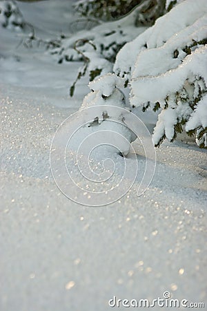 Sparkling snow Stock Photo