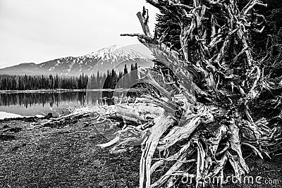 Sparks Lake, Oregon Stock Photo