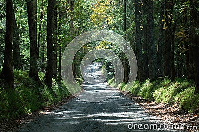 Sparks Lane Cades Cove Stock Photo