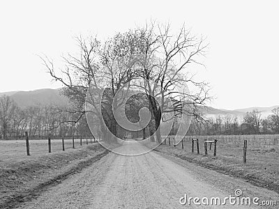 Sparks Lane Tennessee Stock Photo