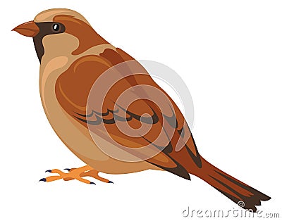 Sparrow color icon. Wildlife animal. Nature fauna Vector Illustration