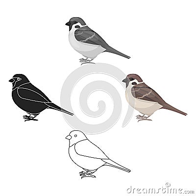 Sparrow icon in cartoon style isolated on white background. Bird symbol stock vector illustration. Vector Illustration