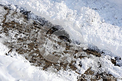 Sparrows, winter bears and sparrows looking for food in the snow in winter Stock Photo