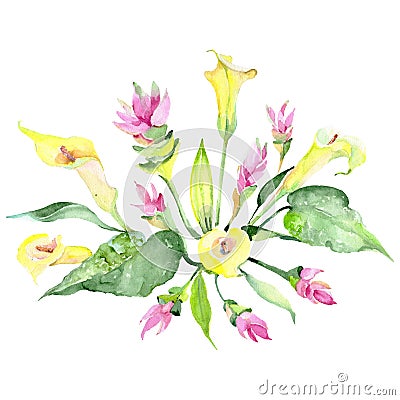 Spathiphyllum and calla bouquet botanical flowers. Watercolor background set. Isolated bouquets illustration element. Cartoon Illustration