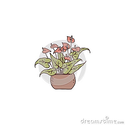 spathiphyllum with flowers houseplant. Indoor potted plant vector outline doodle illustration. Vector Illustration