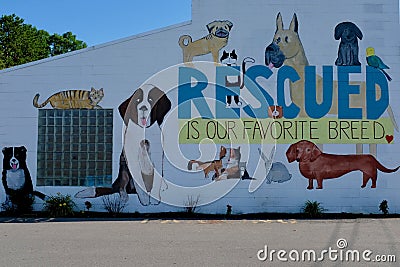 SPCA Wall Mural for Rescued Animals Editorial Stock Photo