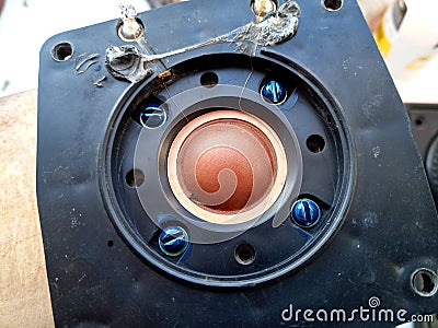 Speaker repair, disassembled speaker. High-frequency speaker 10gdv-2-16 on white background. A component of a three-way speaker Stock Photo