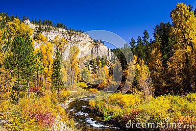 Spearfish Canyon Stock Photo