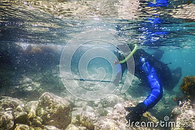 Spearfishing Diver Swimming in Shallow Sea Water Stock Photo