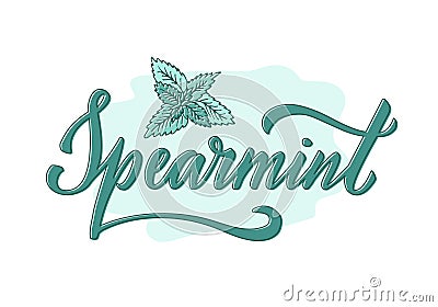 Spearmint creative calligraphic text on pastel background Vector Illustration