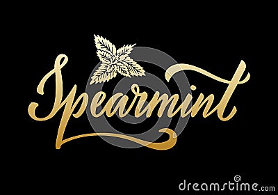 Spearmint golden creative word on black background Vector Illustration