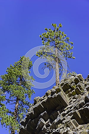 Special Geology in Devils Postpile National Monument Stock Photo