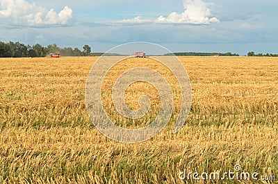 Special machines for harvesting form round bales of hay. Stock Photo