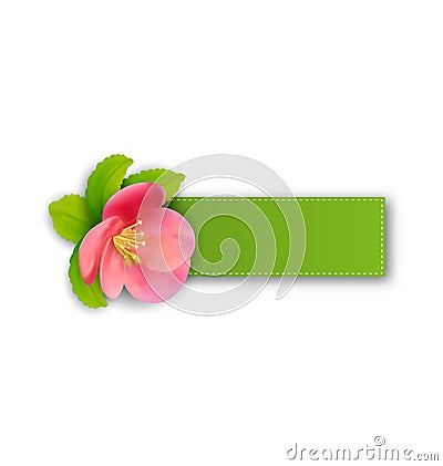 Special spring offer sticker with flower, isolated on white back Vector Illustration