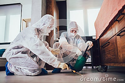 Specialists in protective suits do disinfection or pest control Stock Photo