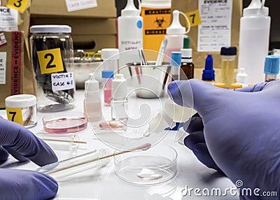 Specialized criminalistic police performs hematological analysis with forensic test kit in a murder in a crime lab Stock Photo