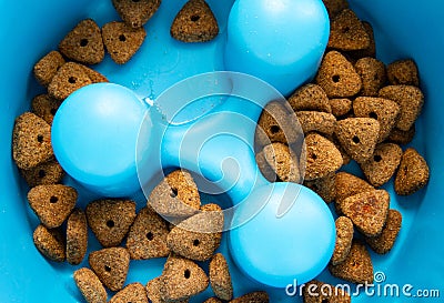 Dry dog food kibble in a slow feed bowl. Stock Photo