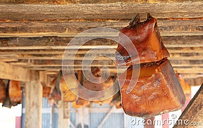 Specialty of iceland called hakarl fermented shark Stock Photo