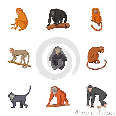 Species of chimpanzee icons set, cartoon style Vector Illustration