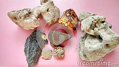 Specimen of coral, calcarenite, andesite and Nummulites fossil Stock Photo