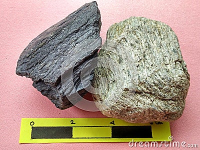 Specimen Phyllite ang schist of metamorphic rock on Melange complex Stock Photo