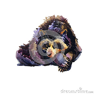 Spectacled Bear watercolor illustration isolated on white Cartoon Illustration