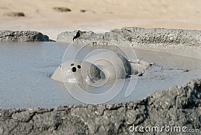 Spectacular eruptions of mud volcanoes caused by methane in vulcanii noroiosi near berca village buzau county romania Stock Photo