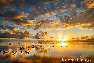 Spectacular golden sunset Stock Photo